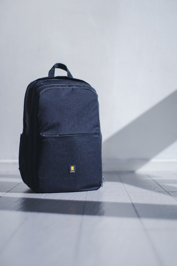 Valentino Garavani Atelier Bag