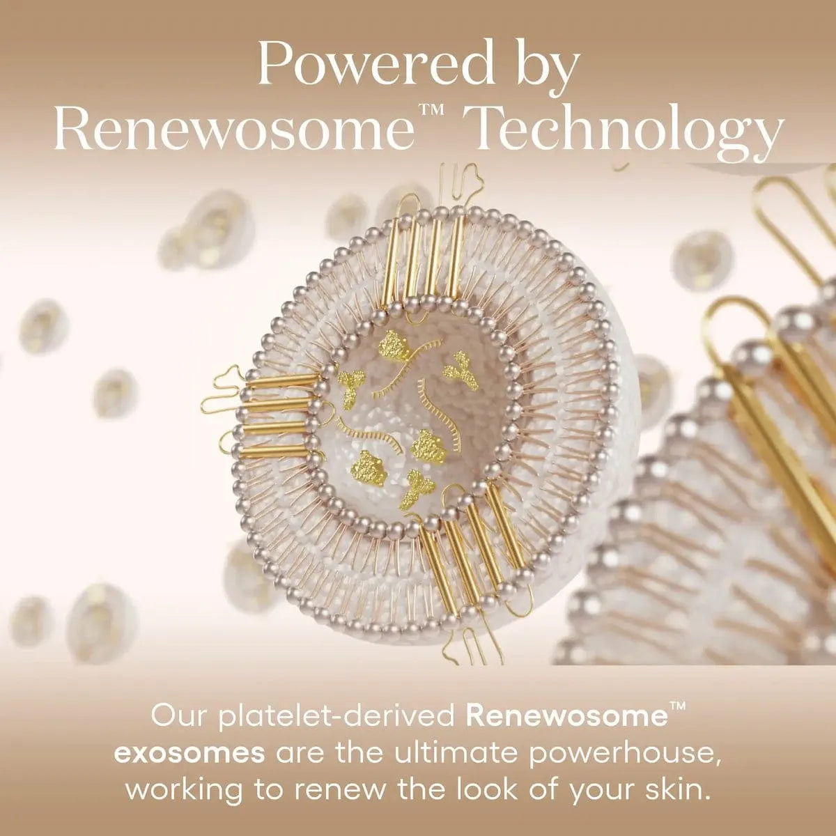 PLATED Intense Serum technology information image